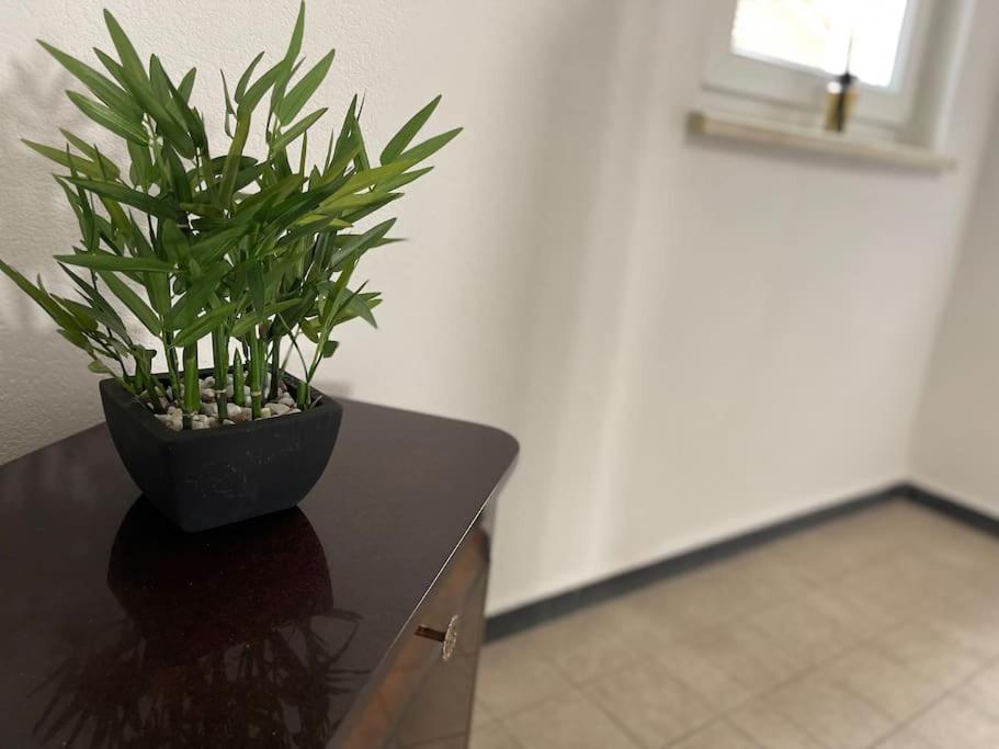 Appartements « La Parenthese » วิสซ็องบูร์ ภายนอก รูปภาพ